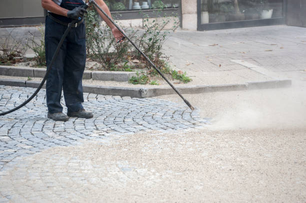 Best Animal Enclosure Cleaning  in Demopolis, AL